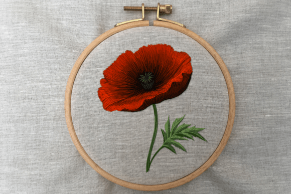 Poppy Bloom Hand Embroidery Pattern